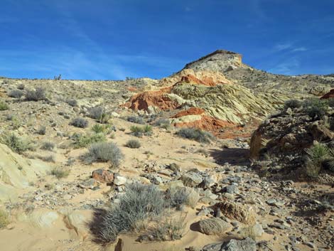 Doodlebug Arch