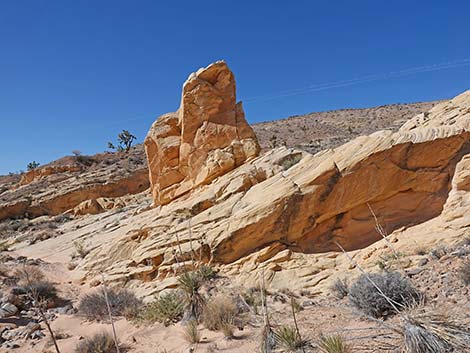 Amber Cat Canyon