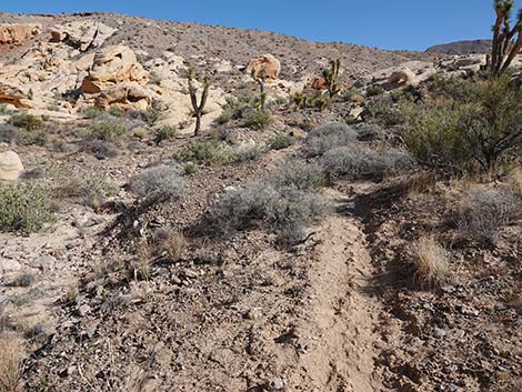 Doodlebug Arch