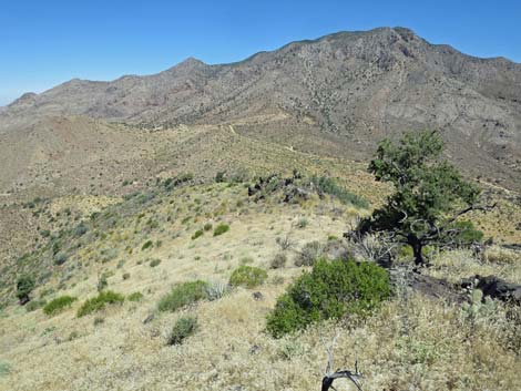 Billy Goat Peak