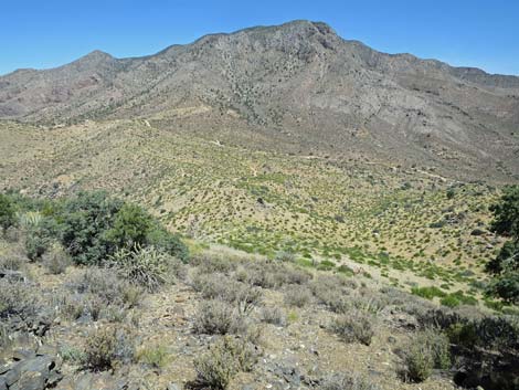 Billy Goat Peak