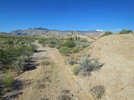 Black Butte Dam Loop