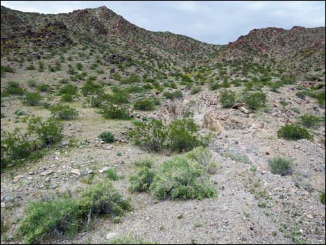 Black Ridge Mine