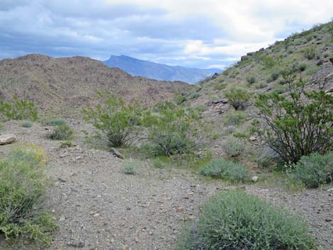 Black Ridge Mine