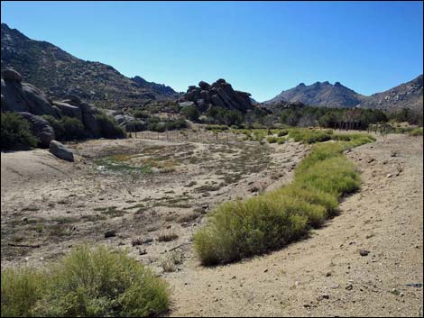 Grapevine Spring Campsite