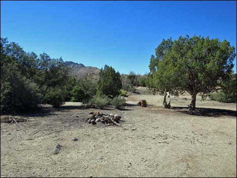 Grapevine Spring Campsite