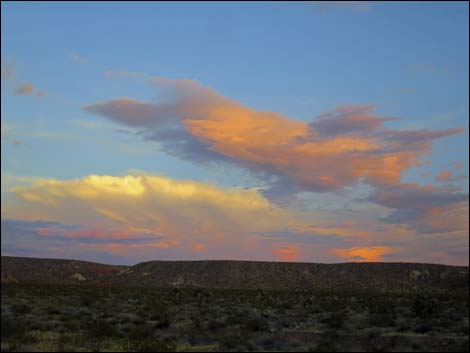 First Rock Campsites