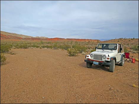 Mud Hills-2 Campsite