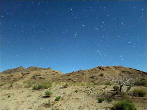 Gold Butte Mill Campsite