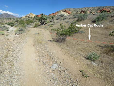 Doodlebug Arch