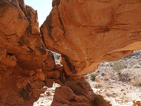 Doodlebug Arch