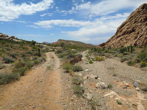 Doodlebug Canyon