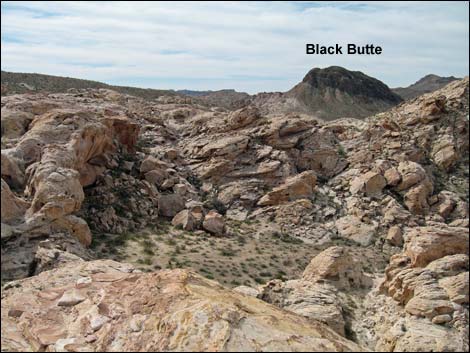 Falling Man Rock Art Site