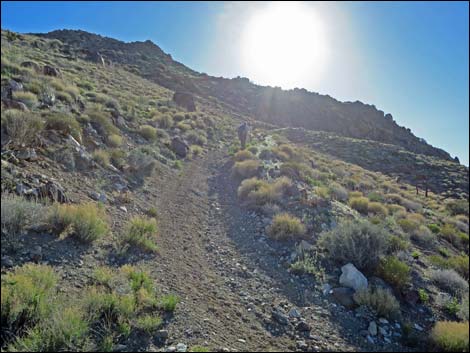 Gold Butte Peak