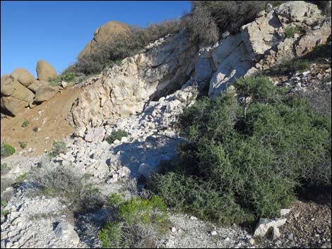 Gold Butte Peak