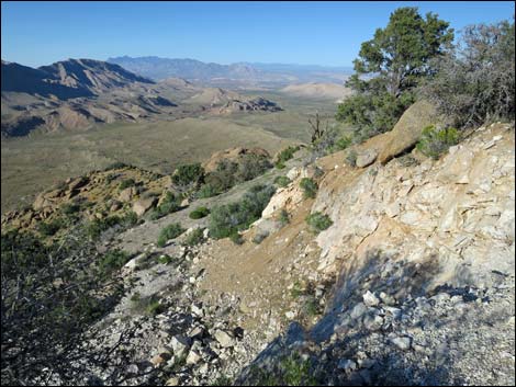 Gold Butte Peak