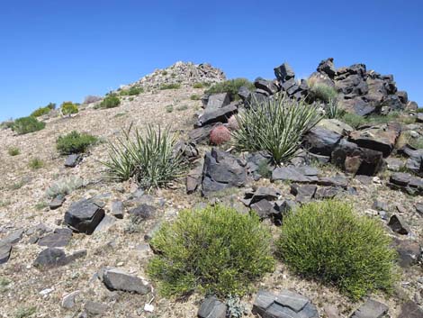 Great Eastern Peak