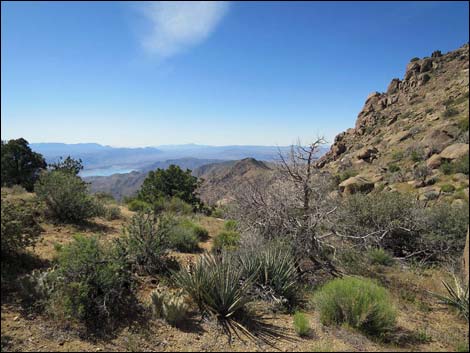 Jumbo Springs Wilderness Area