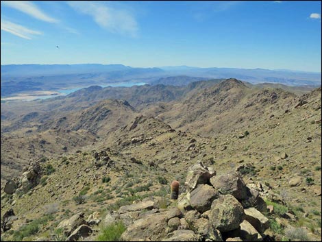 Jumbo Springs Wilderness Area