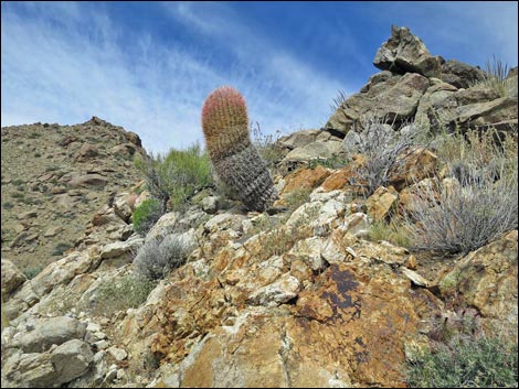 Jumbo Springs Wilderness Area