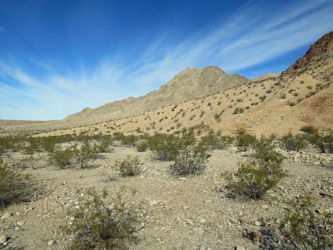 Two Forks Loop