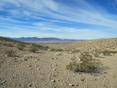 Two Forks Loop