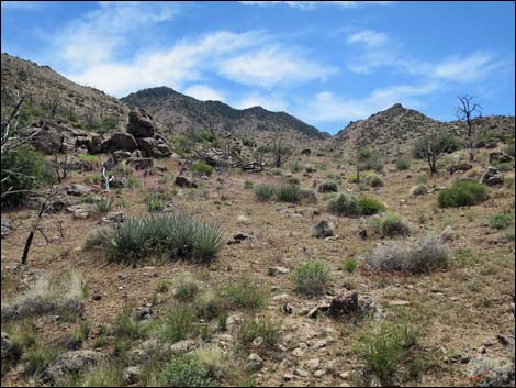 Mica Peak