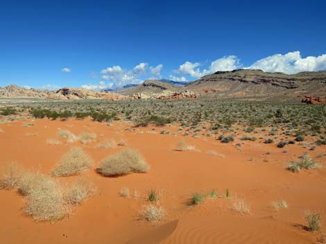 Mud Wash Dunes