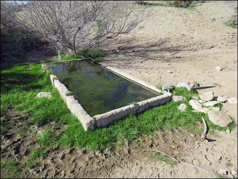 Agua Chiquita Spring