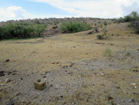 Agua Chiquita Spring