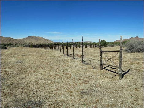 Cedar Basin Corral