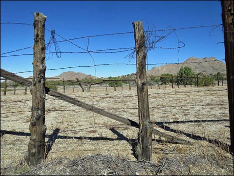 Cedar Basin Corral