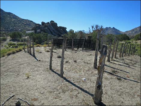 Grapevine Spring Corral