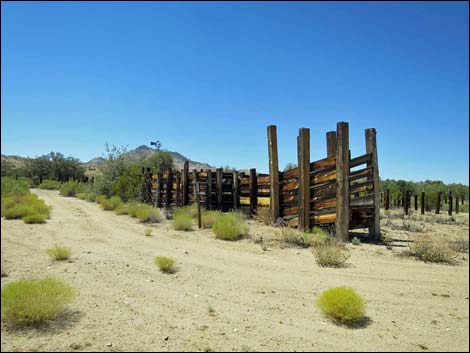 Garden Spring Corral