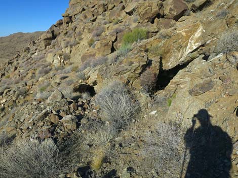 Garnet Mine Camp