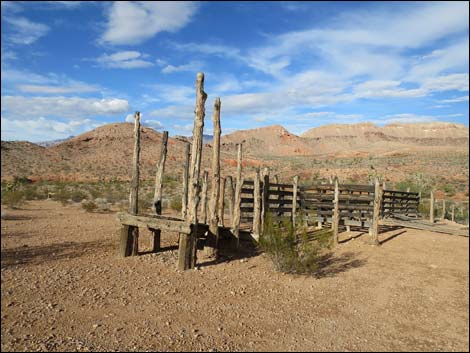 Mud Hills Corral