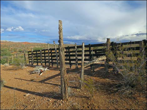 Mud Hills Corral