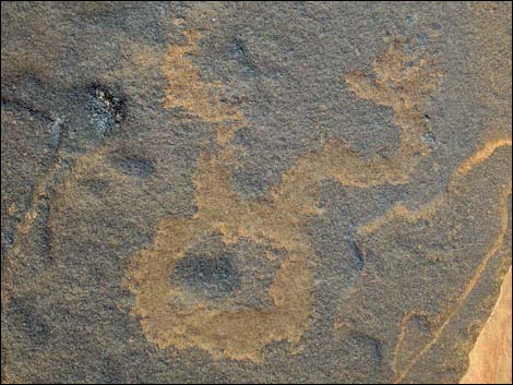 Rock Art Around Gold Butte