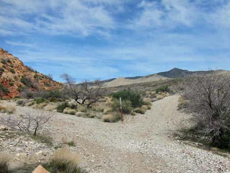 Whitney Wash Loop