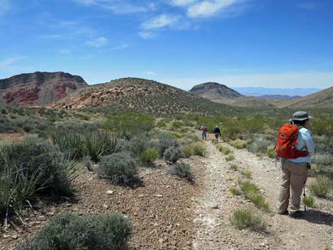 Whitney Wash Loop