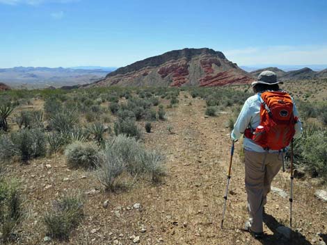 Whitney Wash Loop