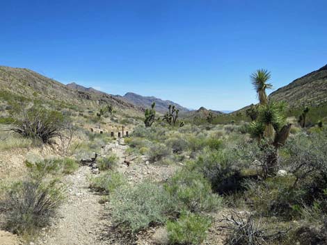 Whitney Wash Loop