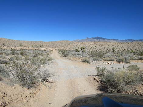 Black Butte Road