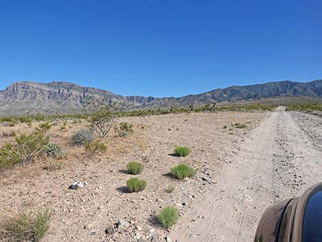 Cabin Canyon Road