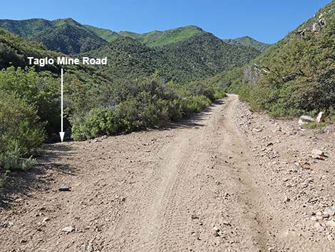 Cabin Canyon Road