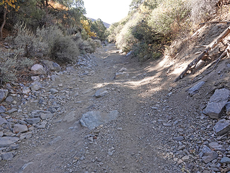 Cabin Canyon Road