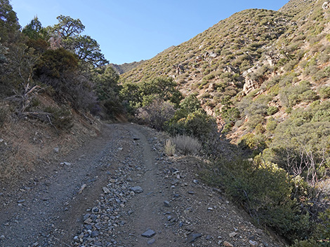 Cabin Canyon Road