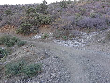 Cabin Canyon Road