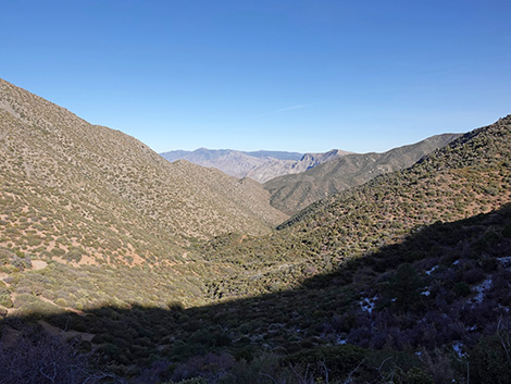 Cabin Canyon Road