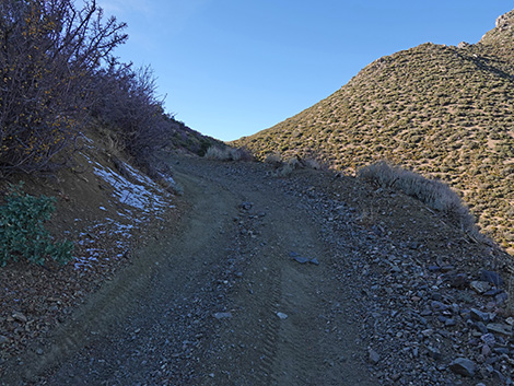 Cabin Canyon Road